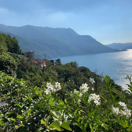 Apartment Casa Dono Il Lago Pognana Lario Kültér fotó