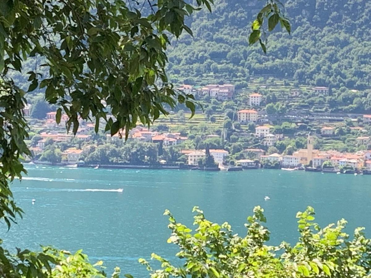 Apartment Casa Dono Il Lago Pognana Lario Kültér fotó