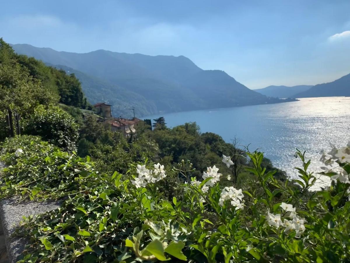 Apartment Casa Dono Il Lago Pognana Lario Kültér fotó
