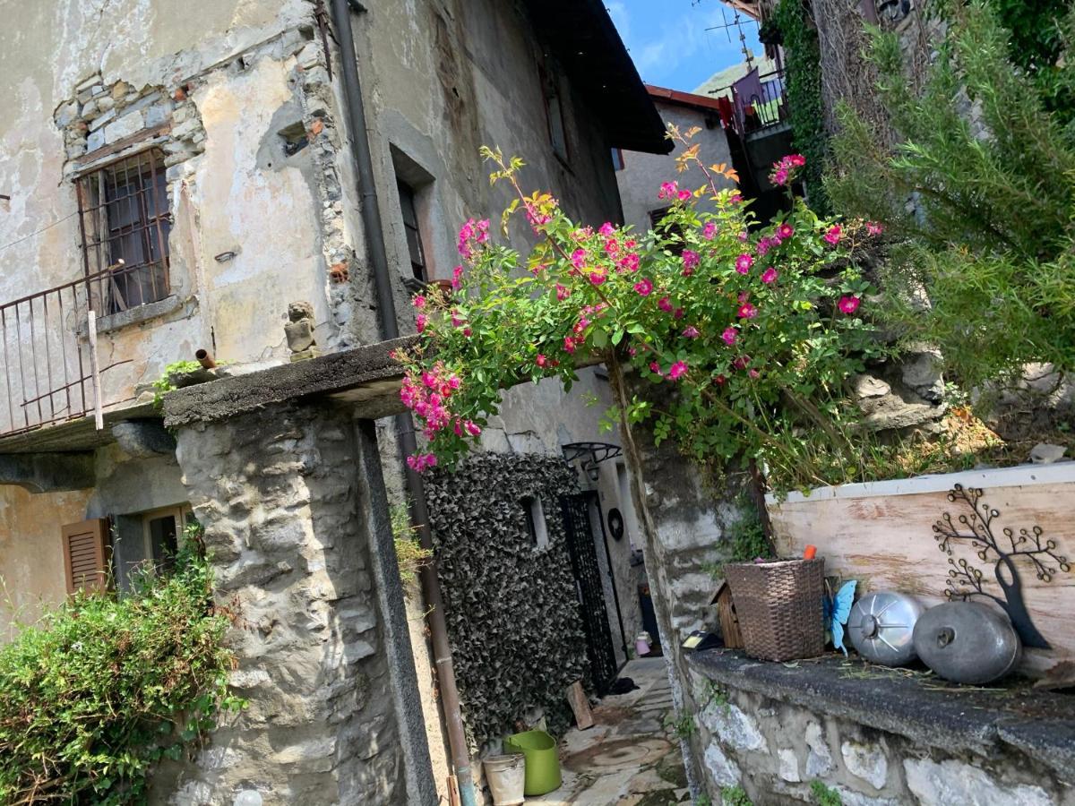 Apartment Casa Dono Il Lago Pognana Lario Kültér fotó