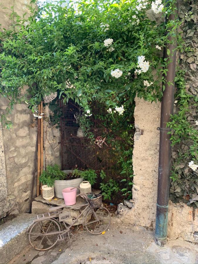 Apartment Casa Dono Il Lago Pognana Lario Kültér fotó